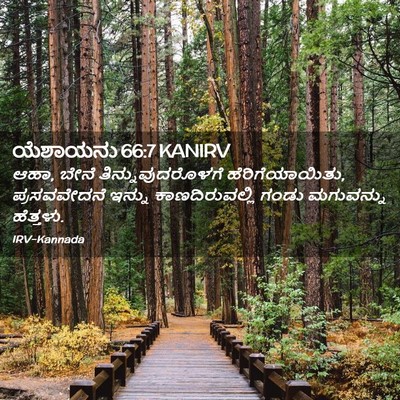 Picture 02 - ಯೆಶಾಯನು 66:7 KANIRV - ಆಹಾ, ಬೇನೆ - Bible Verse Picture