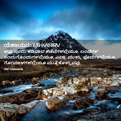 Picture 02 - ಯೆಶಾಯನು 7:19 KANIRV - ಅವು ಬಂದು ಕಡಿದಾದ - Bible Verse Picture