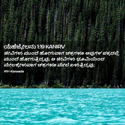Picture 02 - ಯೆಹೆಜ್ಕೇಲನು 1:19 KANIRV - ಜೀವಿಗಳು ಮುಂದೆ - Bible Verse Picture