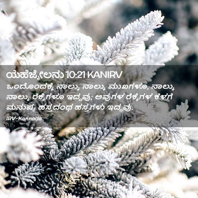 Picture 02 - ಯೆಹೆಜ್ಕೇಲನು 10:21 KANIRV - ಒಂದೊಂದಕ್ಕೆ ನಾಲ್ಕು - Bible Verse Picture