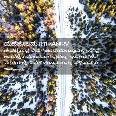 Picture 02 - ಯೆಹೆಜ್ಕೇಲನು 11:11 KANIRV - ಈ ಪಟ್ಟಣವು ನಿಮಗೆ - Bible Verse Picture