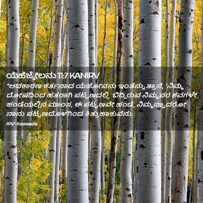 Picture 02 - ಯೆಹೆಜ್ಕೇಲನು 11:7 KANIRV - “ಆದಕಾರಣ ಕರ್ತನಾದ - Bible Verse Picture