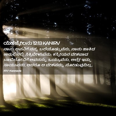 Picture 02 - ಯೆಹೆಜ್ಕೇಲನು 12:13 KANIRV - ನಾನು ಅವನಿಗೆ ನನ್ನ - Bible Verse Picture