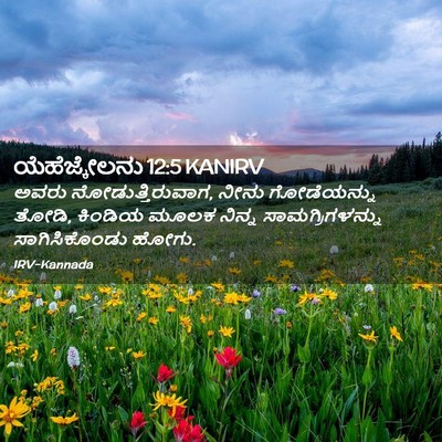 Picture 02 - ಯೆಹೆಜ್ಕೇಲನು 12:5 KANIRV - ಅವರು - Bible Verse Picture