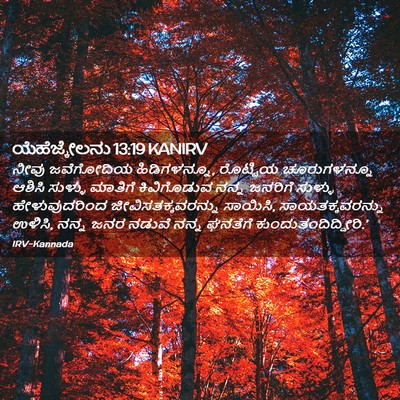 Picture 02 - ಯೆಹೆಜ್ಕೇಲನು 13:19 KANIRV - ನೀವು ಜವೆಗೋದಿಯ - Bible Verse Picture