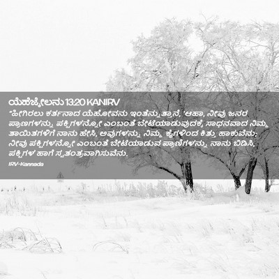 Picture 02 - ಯೆಹೆಜ್ಕೇಲನು 13:20 KANIRV - “ಹೀಗಿರಲು ಕರ್ತನಾದ - Bible Verse Picture
