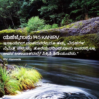 Picture 02 - ಯೆಹೆಜ್ಕೇಲನು 14:5 KANIRV - ಇಸ್ರಾಯೇಲ್ - Bible Verse Picture