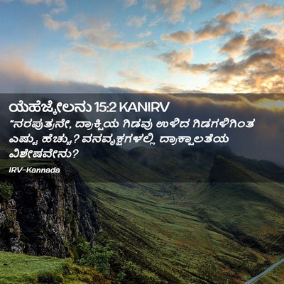 Picture 02 - ಯೆಹೆಜ್ಕೇಲನು 15:2 KANIRV - “ನರಪುತ್ರನೇ, - Bible Verse Picture