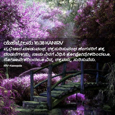 Picture 02 - ಯೆಹೆಜ್ಕೇಲನು 16:38 KANIRV - ವ್ಯಭಿಚಾರ ಮಾಡುವಂಥ, - Bible Verse Picture