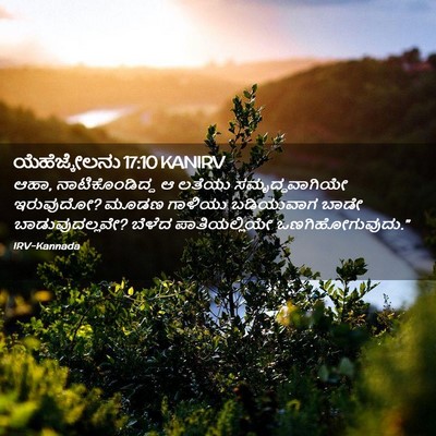 Picture 02 - ಯೆಹೆಜ್ಕೇಲನು 17:10 KANIRV - ಆಹಾ, ನಾಟಿಕೊಂಡಿದ್ದ - Bible Verse Picture