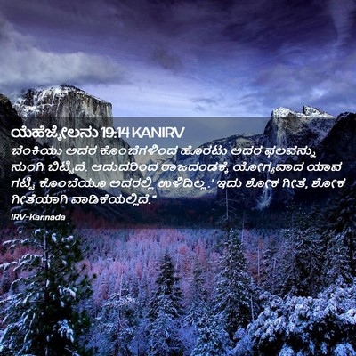 Picture 02 - ಯೆಹೆಜ್ಕೇಲನು 19:14 KANIRV - ಬೆಂಕಿಯು ಅದರ - Bible Verse Picture