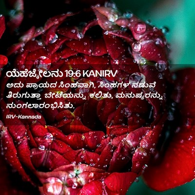 Picture 02 - ಯೆಹೆಜ್ಕೇಲನು 19:6 KANIRV - ಅದು ಪ್ರಾಯದ - Bible Verse Picture
