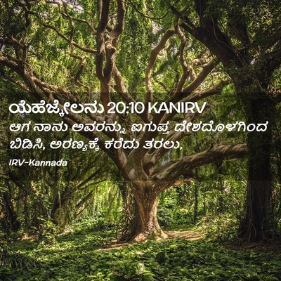 Picture 02 - ಯೆಹೆಜ್ಕೇಲನು 20:10 KANIRV - ಆಗ ನಾನು ಅವರನ್ನು - Bible Verse Picture