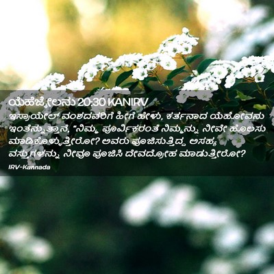 Picture 02 - ಯೆಹೆಜ್ಕೇಲನು 20:30 KANIRV - ಇಸ್ರಾಯೇಲ್ - Bible Verse Picture