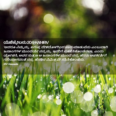 Picture 02 - ಯೆಹೆಜ್ಕೇಲನು 20:9 KANIRV - ‘ಆದರೂ ನಿಮ್ಮನ್ನು - Bible Verse Picture