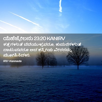Picture 02 - ಯೆಹೆಜ್ಕೇಲನು 23:20 KANIRV - ಕತ್ತೆಗಳಂತೆ - Bible Verse Picture