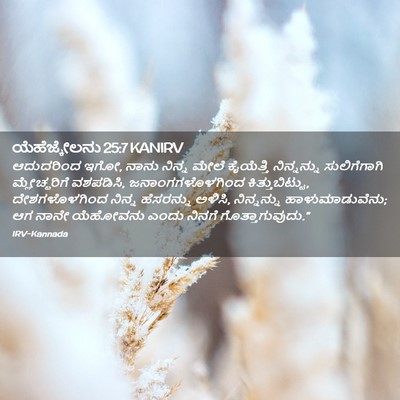 Picture 02 - ಯೆಹೆಜ್ಕೇಲನು 25:7 KANIRV - ಆದುದರಿಂದ ಇಗೋ, ನಾನು - Bible Verse Picture