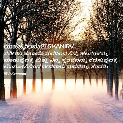 Picture 02 - ಯೆಹೆಜ್ಕೇಲನು 27:5 KANIRV - ಸೆನೀರಿನ ತುರಾಯಿ - Bible Verse Picture