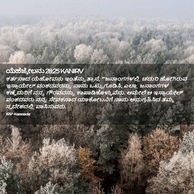 Picture 02 - ಯೆಹೆಜ್ಕೇಲನು 28:25 KANIRV - ಕರ್ತನಾದ ಯೆಹೋವನು - Bible Verse Picture