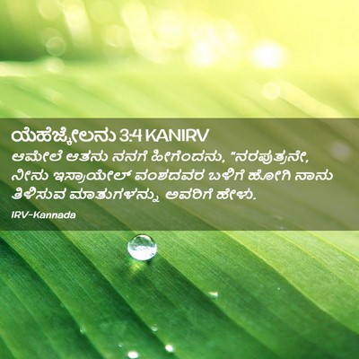 Picture 02 - ಯೆಹೆಜ್ಕೇಲನು 3:4 KANIRV - ಆಮೇಲೆ ಆತನು ನನಗೆ - Bible Verse Picture