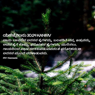 Picture 02 - ಯೆಹೆಜ್ಕೇಲನು 30:24 KANIRV - ನಾನು ಬಾಬೆಲಿನ ಅರಸನ - Bible Verse Picture