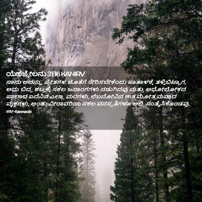 Picture 02 - ಯೆಹೆಜ್ಕೇಲನು 31:16 KANIRV - ನಾನು ಅದನ್ನು - Bible Verse Picture