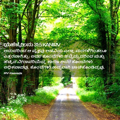 Picture 02 - ಯೆಹೆಜ್ಕೇಲನು 31:5 KANIRV - ಆದುದರಿಂದ ಆ - Bible Verse Picture