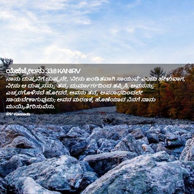 Picture 02 - ಯೆಹೆಜ್ಕೇಲನು 33:8 KANIRV - ನಾನು ದುಷ್ಟನಿಗೆ - Bible Verse Picture