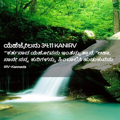 Picture 02 - ಯೆಹೆಜ್ಕೇಲನು 34:11 KANIRV - “‘ಕರ್ತನಾದ ಯೆಹೋವನು - Bible Verse Picture