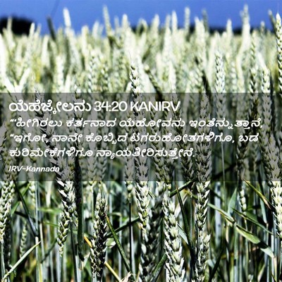 Picture 02 - ಯೆಹೆಜ್ಕೇಲನು 34:20 KANIRV - “‘ಹೀಗಿರಲು ಕರ್ತನಾದ - Bible Verse Picture