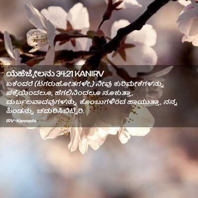 Picture 02 - ಯೆಹೆಜ್ಕೇಲನು 34:21 KANIRV - ಏಕೆಂದರೆ - Bible Verse Picture