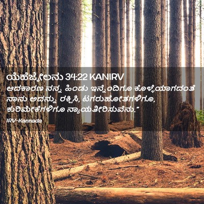 Picture 02 - ಯೆಹೆಜ್ಕೇಲನು 34:22 KANIRV - ಆದಕಾರಣ ನನ್ನ ಹಿಂಡು - Bible Verse Picture