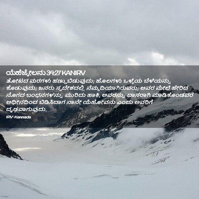 Picture 02 - ಯೆಹೆಜ್ಕೇಲನು 34:27 KANIRV - ತೋಟದ ಮರಗಳು - Bible Verse Picture