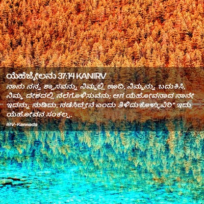 Picture 02 - ಯೆಹೆಜ್ಕೇಲನು 37:14 KANIRV - ನಾನು ನನ್ನ - Bible Verse Picture
