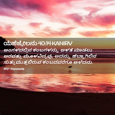 Picture 02 - ಯೆಹೆಜ್ಕೇಲನು 40:14 KANIRV - ಅಂಗಳದಲ್ಲಿನ - Bible Verse Picture