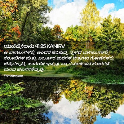 Picture 02 - ಯೆಹೆಜ್ಕೇಲನು 41:25 KANIRV - ಆ ಬಾಗಿಲುಗಳಲ್ಲಿ - Bible Verse Picture