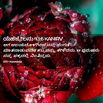 Picture 02 - ಯೆಹೆಜ್ಕೇಲನು 43:6 KANIRV - ಆಗ ಆಲಯದೊಳಗಿಂದ - Bible Verse Picture
