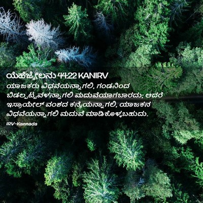 Picture 02 - ಯೆಹೆಜ್ಕೇಲನು 44:22 KANIRV - ಯಾಜಕರು - Bible Verse Picture