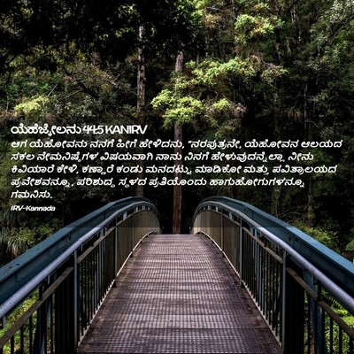 Picture 02 - ಯೆಹೆಜ್ಕೇಲನು 44:5 KANIRV - ಆಗ ಯೆಹೋವನು ನನಗೆ - Bible Verse Picture