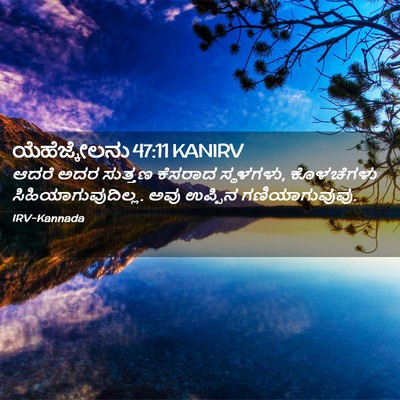 Picture 02 - ಯೆಹೆಜ್ಕೇಲನು 47:11 KANIRV - ಆದರೆ ಅದರ ಸುತ್ತಣ - Bible Verse Picture
