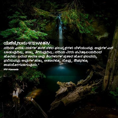 Picture 02 - ಯೆಹೆಜ್ಕೇಲನು 47:12 KANIRV - ನದಿಯ ಎರಡು ದಡಗಳ ತನಕ - Bible Verse Picture