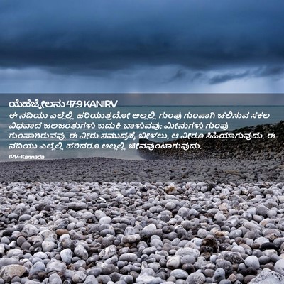 Picture 02 - ಯೆಹೆಜ್ಕೇಲನು 47:9 KANIRV - ಈ ನದಿಯು ಎಲ್ಲೆಲ್ಲಿ - Bible Verse Picture