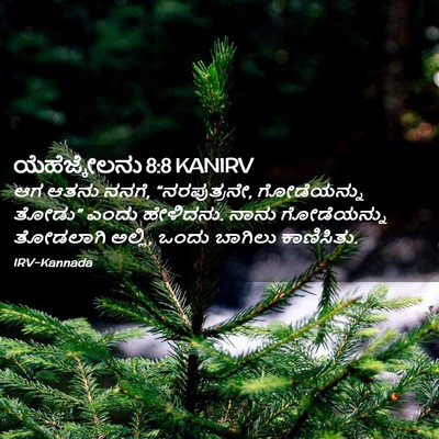 Picture 02 - ಯೆಹೆಜ್ಕೇಲನು 8:8 KANIRV - ಆಗ ಆತನು ನನಗೆ, - Bible Verse Picture
