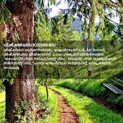 Picture 02 - ಯೆಹೋಶುವನು 10:12 KANIRV - ಯೆಹೋವನು - Bible Verse Picture