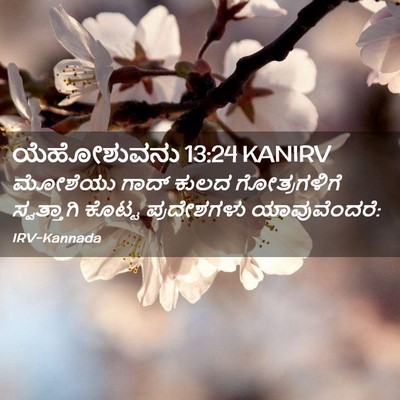 Picture 02 - ಯೆಹೋಶುವನು 13:24 KANIRV - ಮೋಶೆಯು ಗಾದ್ ಕುಲದ - Bible Verse Picture