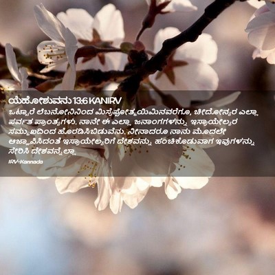 Picture 02 - ಯೆಹೋಶುವನು 13:6 KANIRV - ಒಟ್ಟಾರೆ - Bible Verse Picture