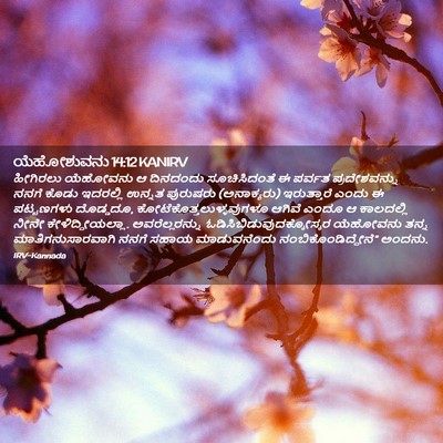 Picture 02 - ಯೆಹೋಶುವನು 14:12 KANIRV - ಹೀಗಿರಲು ಯೆಹೋವನು ಆ - Bible Verse Picture