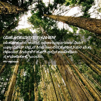 Picture 02 - ಯೆಹೋಶುವನು 17:15 KANIRV - ಯೆಹೋಶುವನು ಅವರಿಗೆ, - Bible Verse Picture