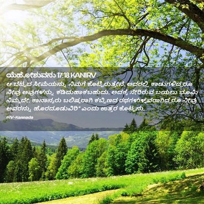 Picture 02 - ಯೆಹೋಶುವನು 17:18 KANIRV - ಆ ಬೆಟ್ಟದ - Bible Verse Picture