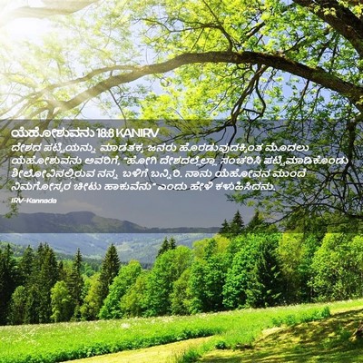 Picture 02 - ಯೆಹೋಶುವನು 18:8 KANIRV - ದೇಶದ ಪಟ್ಟಿಯನ್ನು - Bible Verse Picture